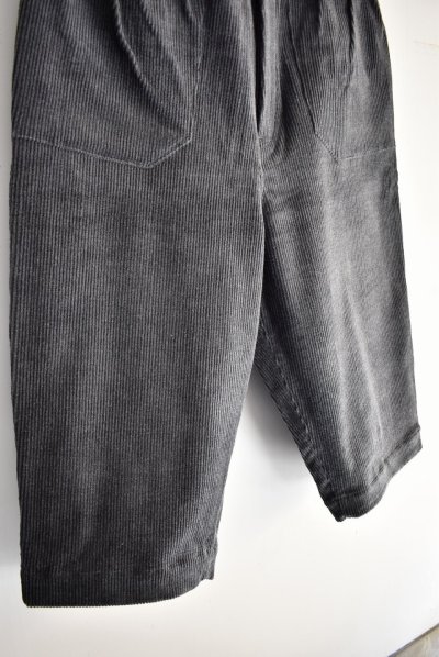 画像6: rdv o globe TRISTAN PA.ストレッチ杢コーデュロイコーデュロイパンツ
